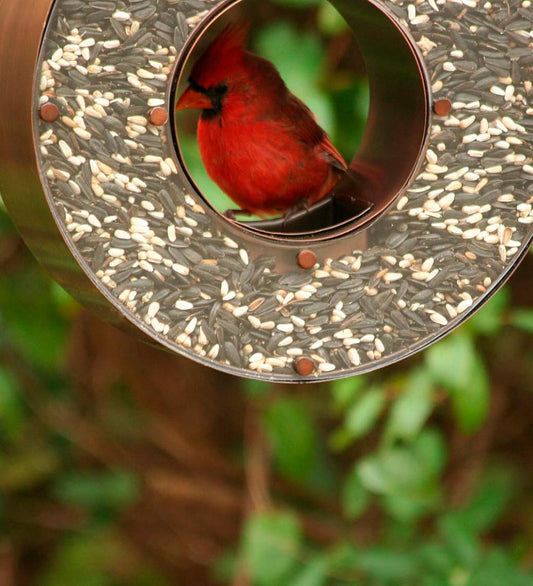 Plow & Hearth Bird Feeders Yard & Garden Copper Tear Drop Bird Feeder
