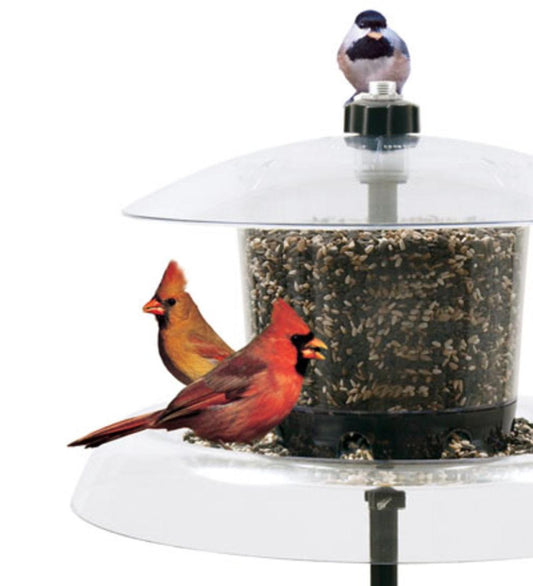 Plow & Hearth Bird Feeders Yard & Garden Jagunda Squirrel Proof Feeder