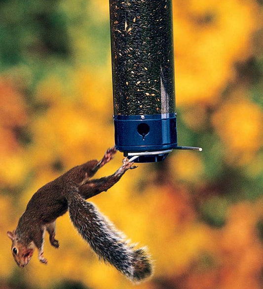 Plow & Hearth Bird Feeders Yard & Garden Yankee Whipper Squirrel Proof Bird Feeder