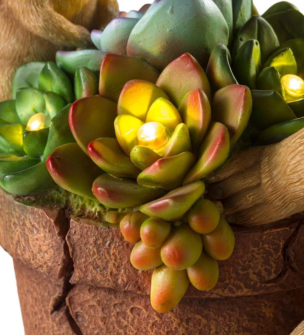 Plow & Hearth Deck & Patio Accents Outdoor Living Solar Succulent Hedgehogs Flower Pot Garden Statue