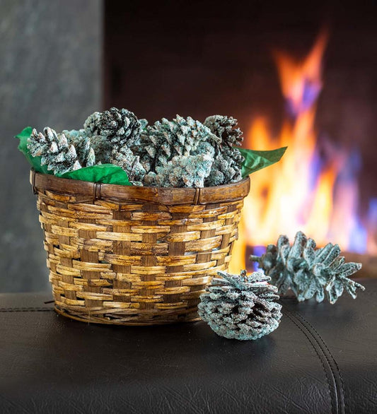 Plow & Hearth Fire Starters & Fatwood Fireplace & Hearth Color-Changing Fireplace Color Cones