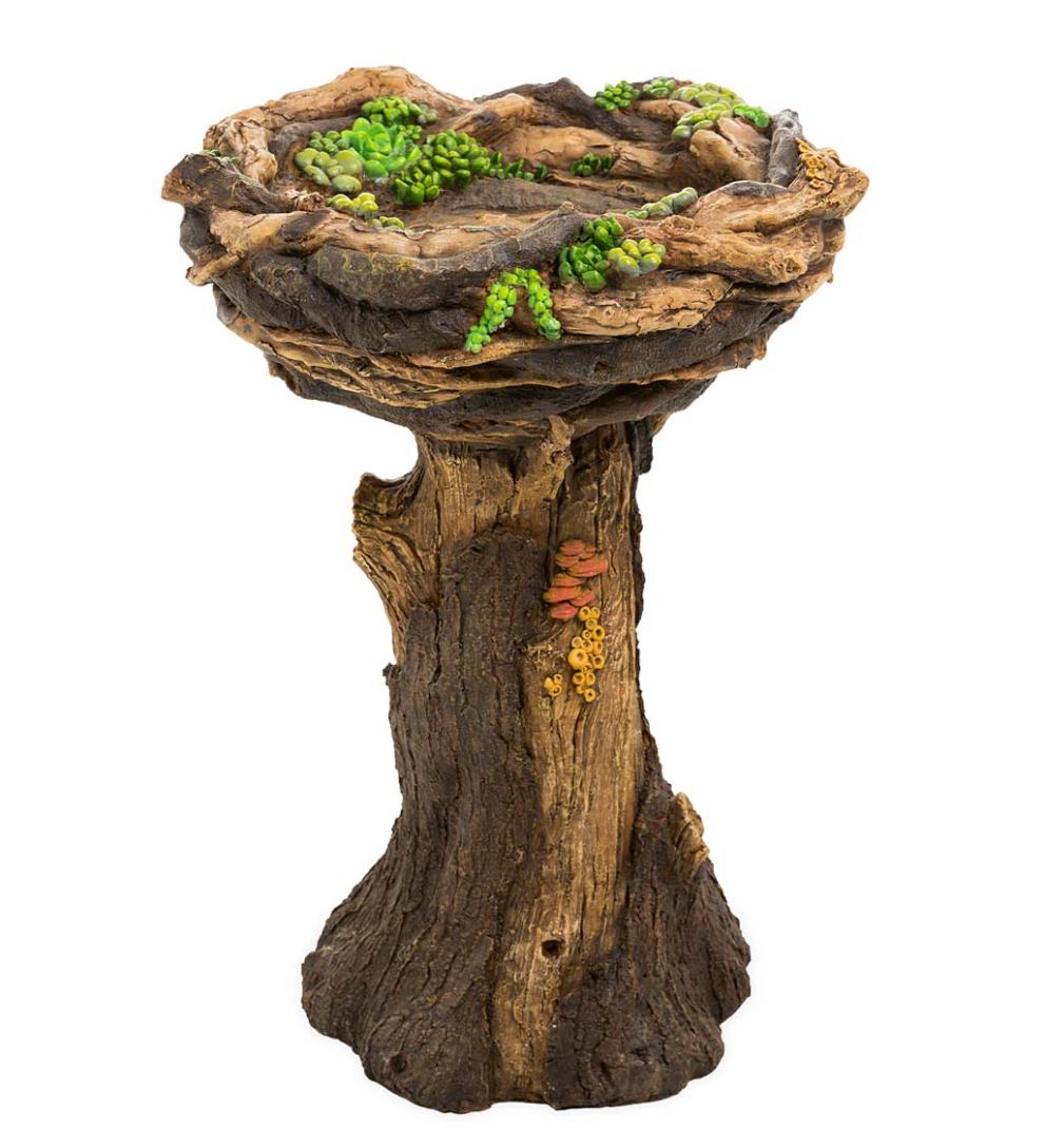Plow & Hearth Garden Accents Yard & Garden Succulent Bird Nest Tree Stump Birdbath