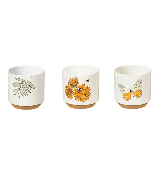 Plow & Hearth Home Accents Indoor Living Harvest Ceramic Cachepots, Set Of 3