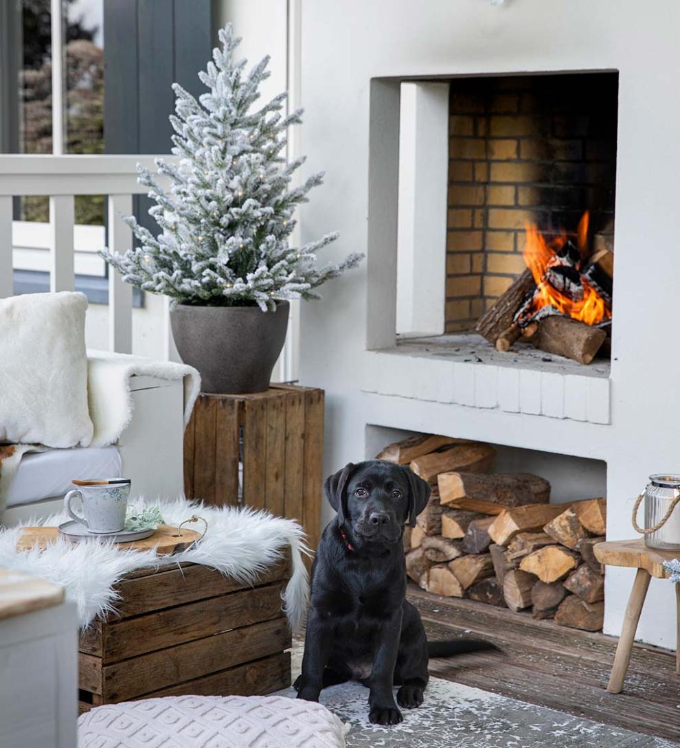 Plow & Hearth Home Accents Indoor Living Lighted Potted Snow-Dusted Norway Spruce
