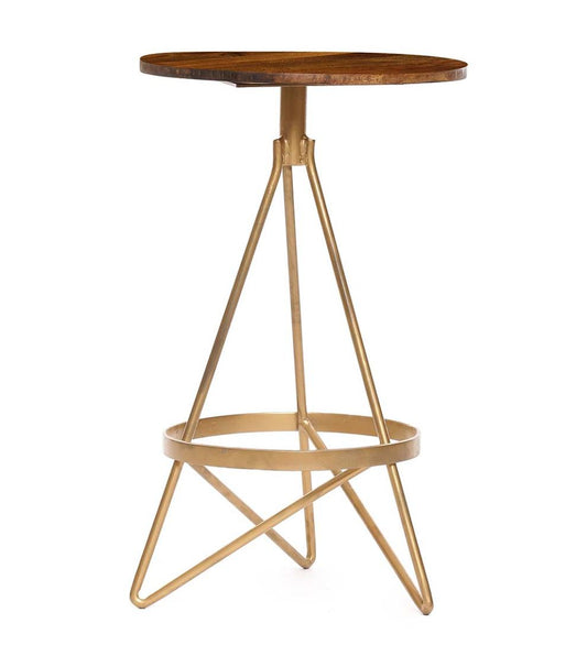 Plow & Hearth Kitchen & Bar Stools Indoor Living Valentina Swivel Stool - Elm/Gold