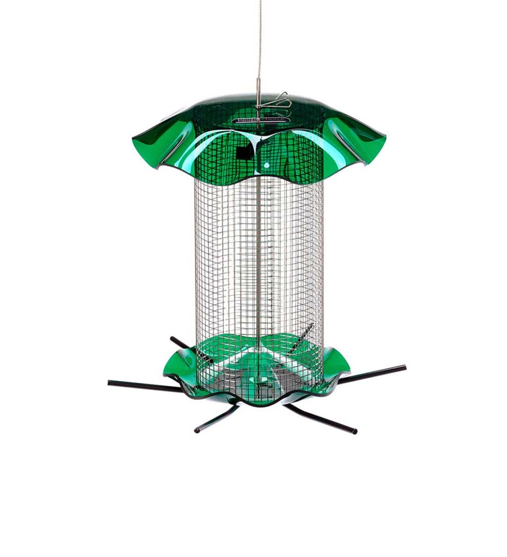 Plow & Hearth Bird Feeders Yard & Garden 3 Qt. Sunflower Forever Feeder Bird Feeder - Clear