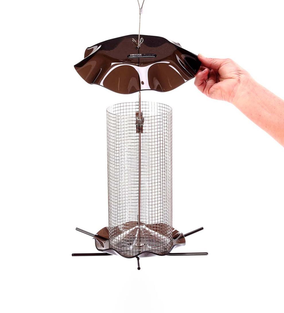 Plow & Hearth Bird Feeders Yard & Garden 3 Qt. Sunflower Forever Feeder Bird Feeder - Clear