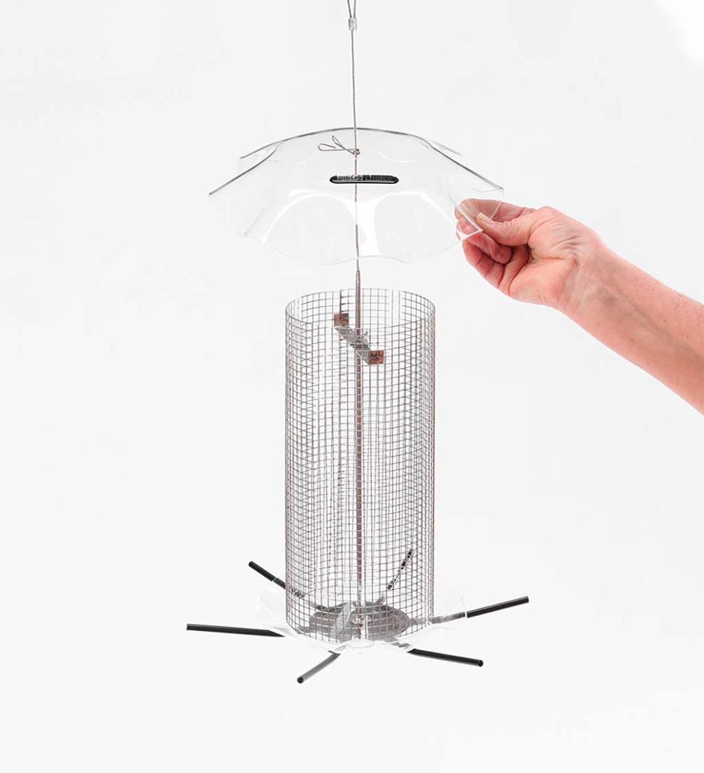 Plow & Hearth Bird Feeders Yard & Garden 3 Qt. Sunflower Forever Feeder Bird Feeder - Clear