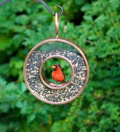 Plow & Hearth Bird Feeders Yard & Garden Antiqued Copper Hanging Fly-Thru Round Bird Feeder - Copper