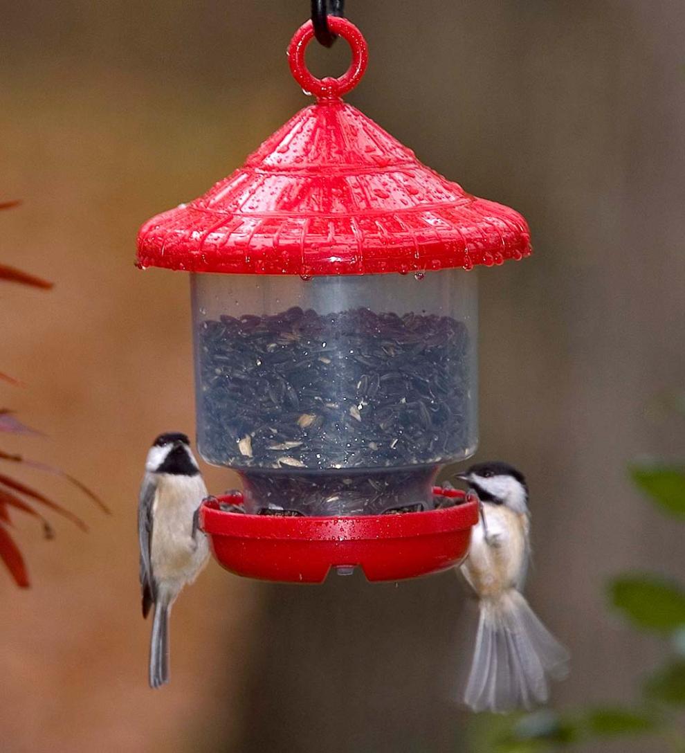 Plow & Hearth Bird Feeders Yard & Garden Clinger Hanging Bird Feeder - Green