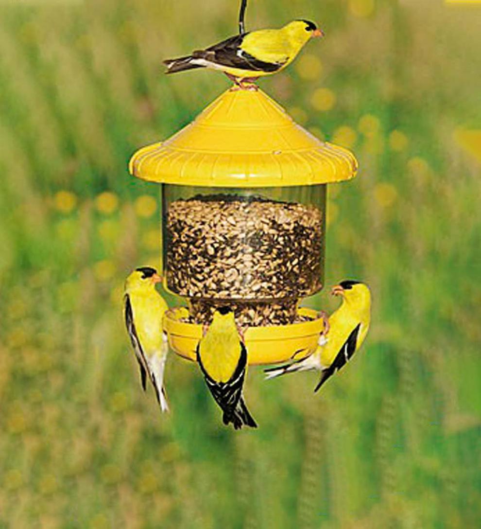 Plow & Hearth Bird Feeders Yard & Garden Clinger Hanging Bird Feeder - Green