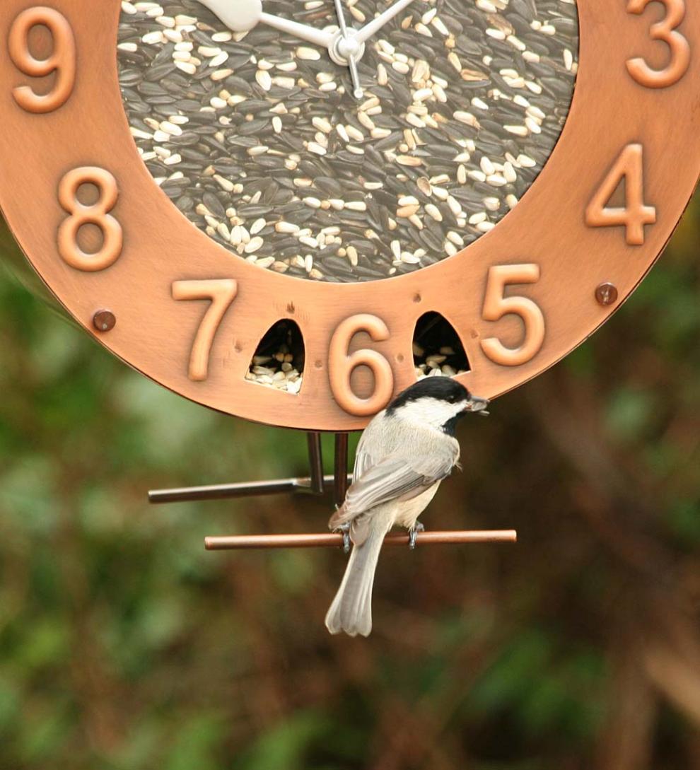 Plow & Hearth Bird Feeders Yard & Garden Copper And Plexiglass Clock-Motif Bird Feeder