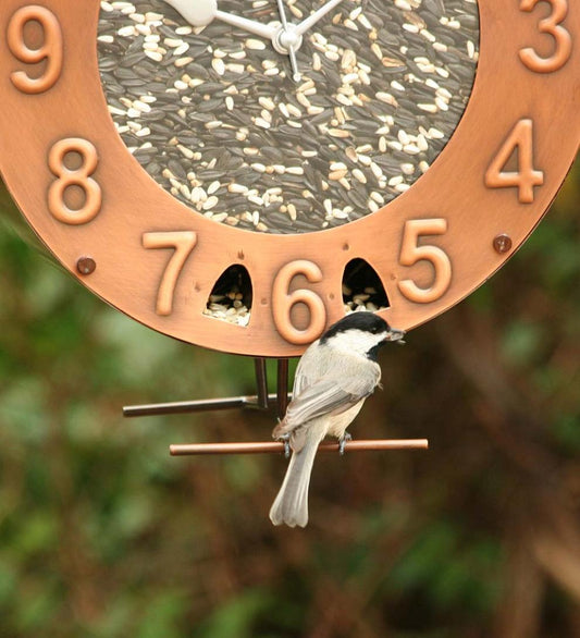 Plow & Hearth Bird Feeders Yard & Garden Copper And Plexiglass Clock-Motif Bird Feeder