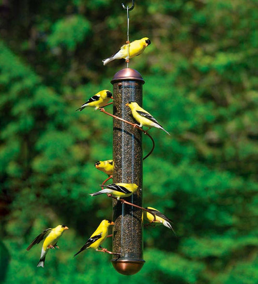 Plow & Hearth Bird Feeders Yard & Garden Copper-Colored Spiral-Perch Finch Bird Feeder - Copper