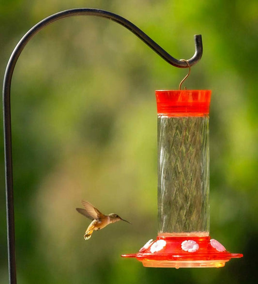 Plow & Hearth Bird Feeders Yard & Garden Diamond 30-Ounce Glass-Bottle Hummingbird Feeder