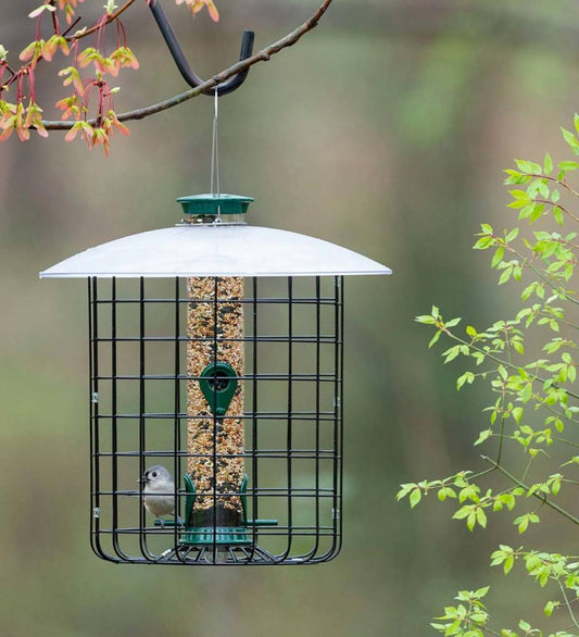 Plow & Hearth Bird Feeders Yard & Garden Domed Squirrel-Proof Cage Bird Feeder