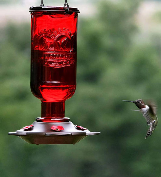 Plow & Hearth Bird Feeders Yard & Garden Elixir 13-Ounce Vintage-Style Bottle Hummingbird Feeder