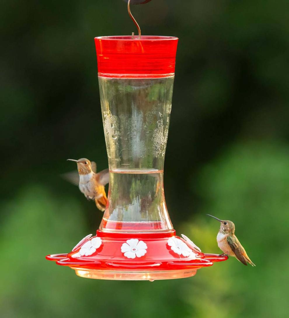 Plow & Hearth Bird Feeders Yard & Garden Garnet 20-Ounce Glass-Bottle Hummingbird Feeder