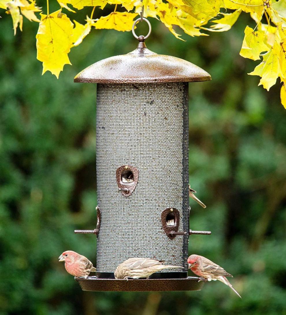Plow & Hearth Bird Feeders Yard & Garden Giant Combo All-Metal Screen Bird Feeder