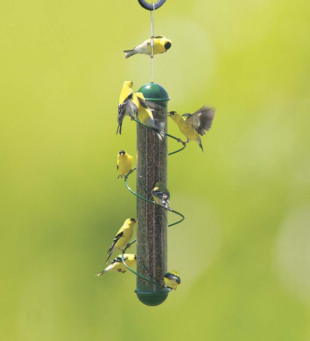 Plow & Hearth Bird Feeders Yard & Garden Green Spiral-Perch Finch Bird Feeder - Green