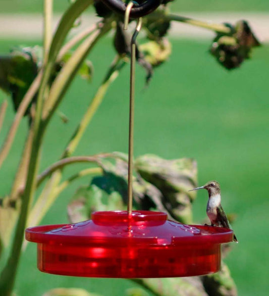 Plow & Hearth Bird Feeders Yard & Garden Hanging Hummingbird Haven Feeder