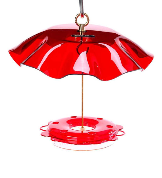 Plow & Hearth Bird Feeders Yard & Garden Hummingbird Feeder With Weather Guard