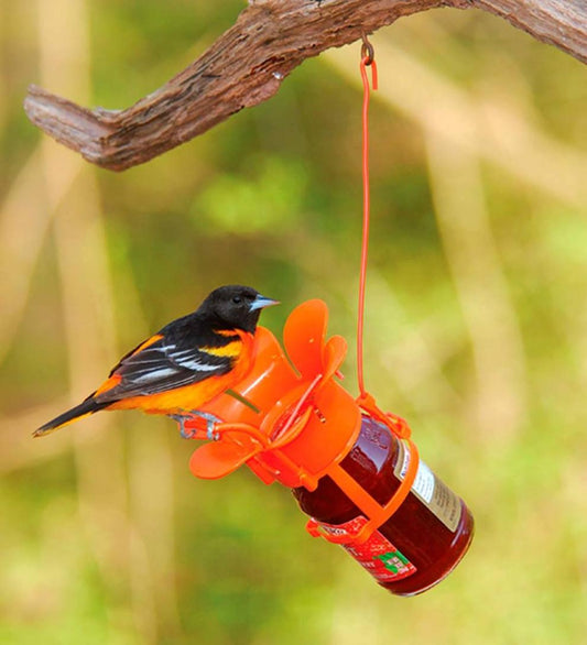 Plow & Hearth Bird Feeders Yard & Garden Jelly/Jam Jar Oriole Bird Feeder