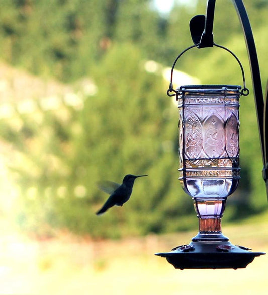 Plow & Hearth Bird Feeders Yard & Garden Jewel Vintage Style 20-Ounce Hummingbird Feeder - Amethyst