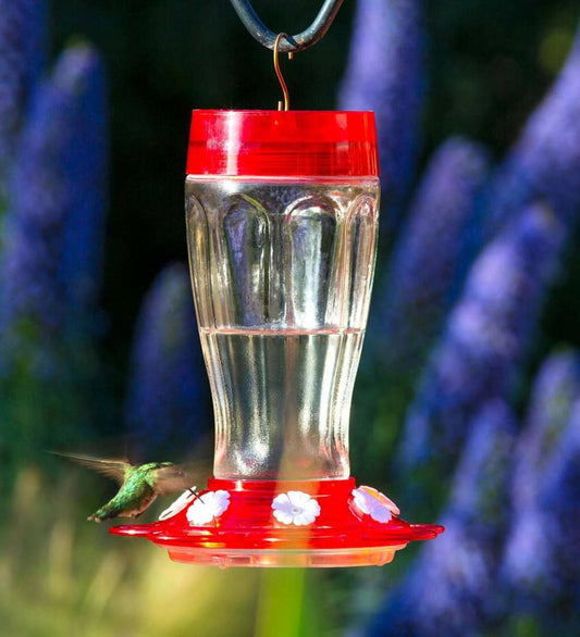 Plow & Hearth Bird Feeders Yard & Garden Jumbo 40-Ounce Hanging Hummingbird Feeder