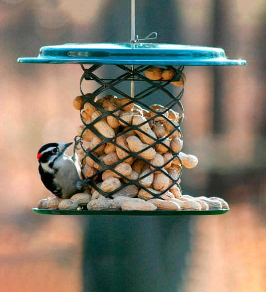 Plow & Hearth Bird Feeders Yard & Garden Metal Mesh Whole Peanut In Shell Bird Feeder