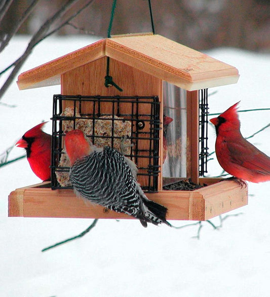 Plow & Hearth Bird Feeders Yard & Garden Natural Cedar Hopper-Style Hanging Bird Feeder