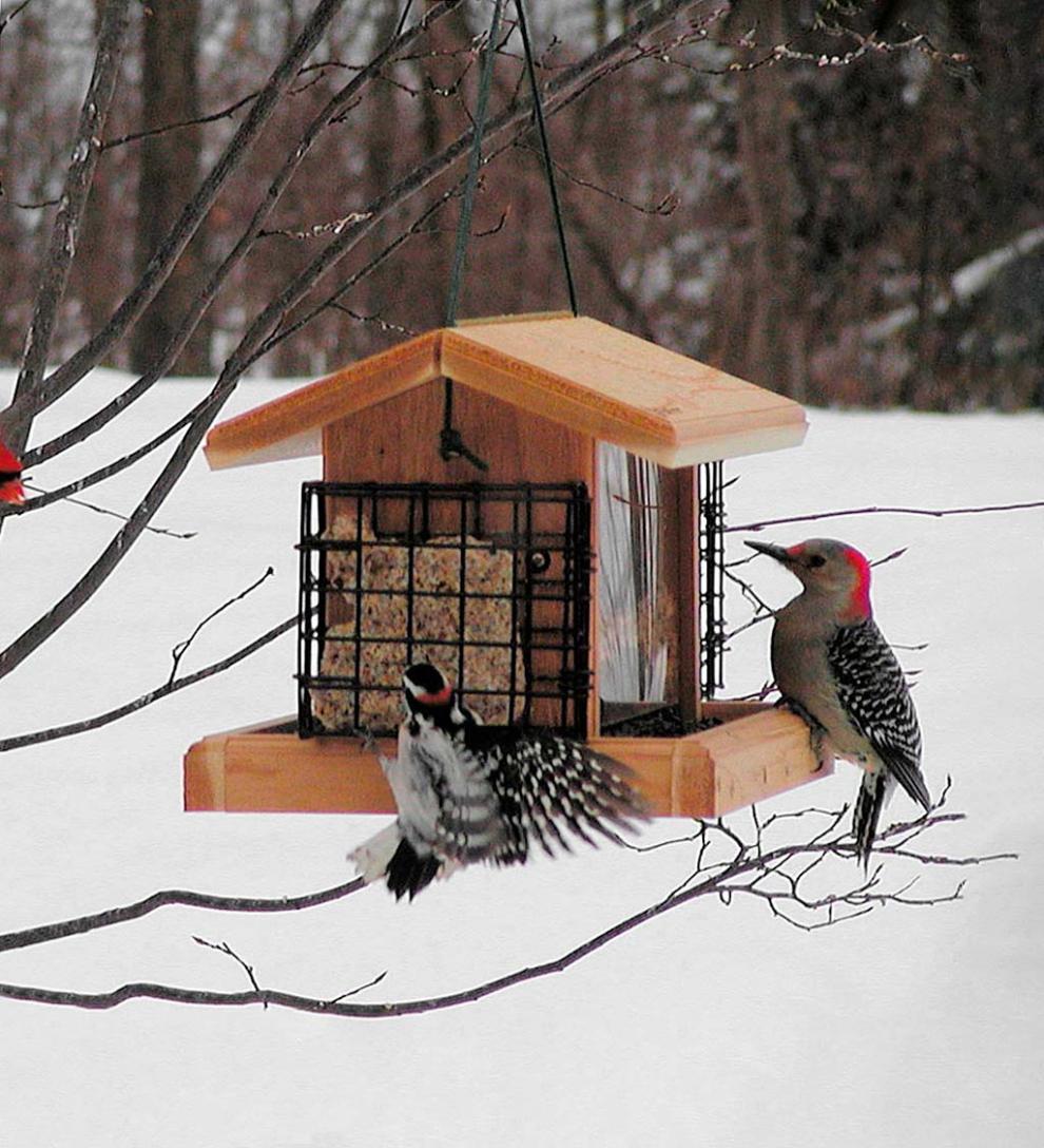 Plow & Hearth Bird Feeders Yard & Garden Natural Cedar Hopper-Style Hanging Bird Feeder