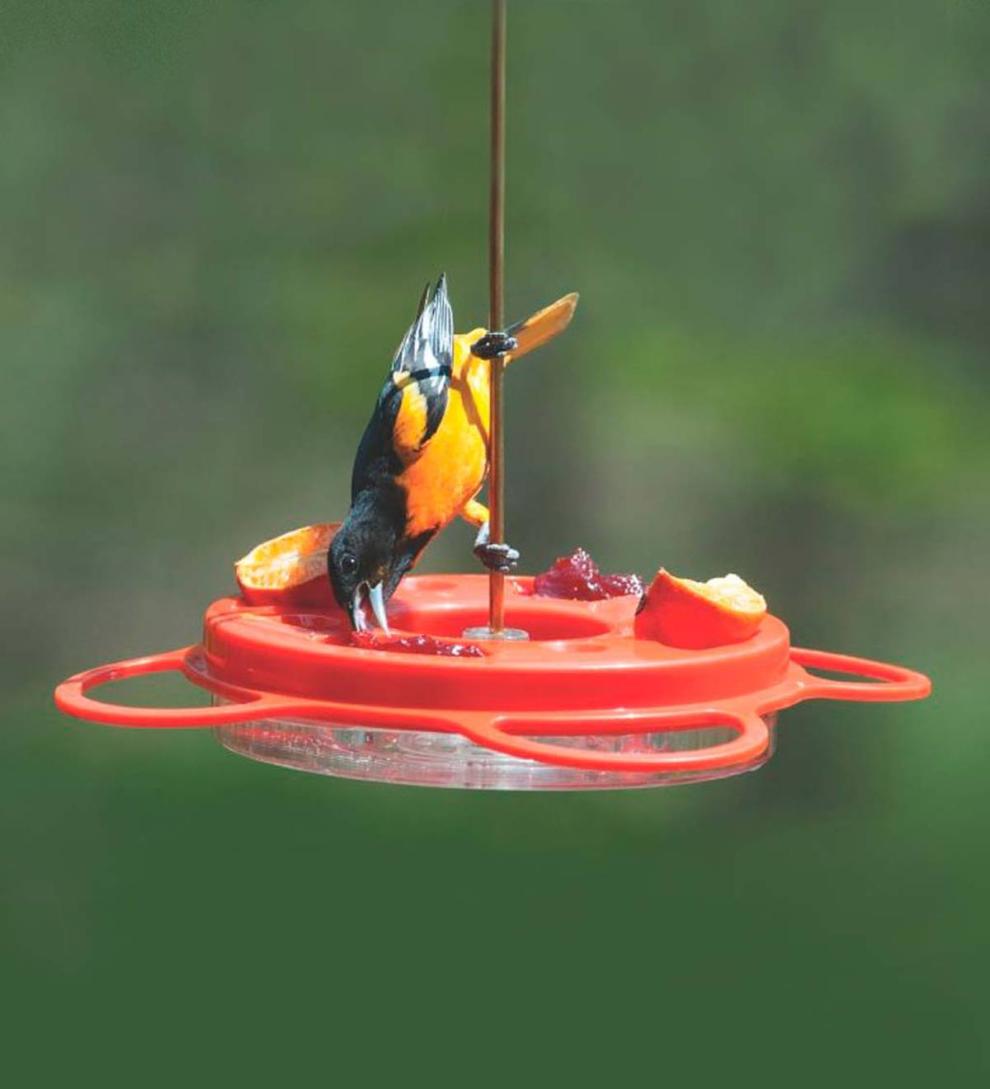 Plow & Hearth Bird Feeders Yard & Garden Oriolefest Oriole Feeder, 12 Oz.