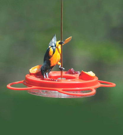 Plow & Hearth Bird Feeders Yard & Garden Oriolefest Oriole Feeder, 12 Oz.