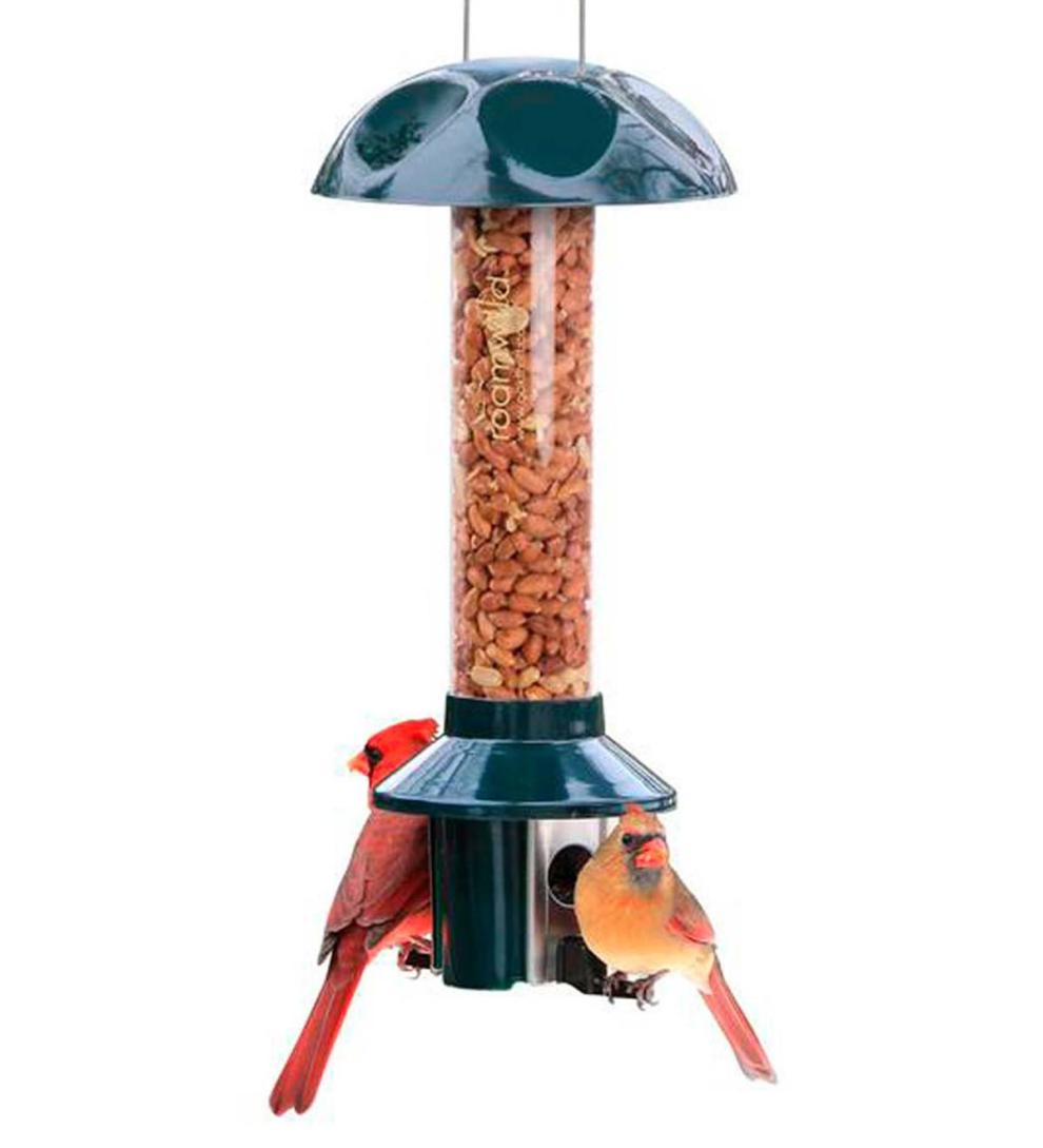 Plow & Hearth Bird Feeders Yard & Garden Pestoff Bird Feeder For Peanuts, Dried Meal Worms, Suet And Wild Bird Nuggets