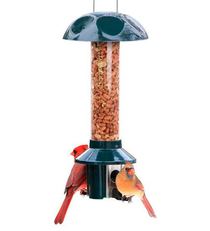 Plow & Hearth Bird Feeders Yard & Garden Pestoff Bird Feeder For Peanuts, Dried Meal Worms, Suet And Wild Bird Nuggets