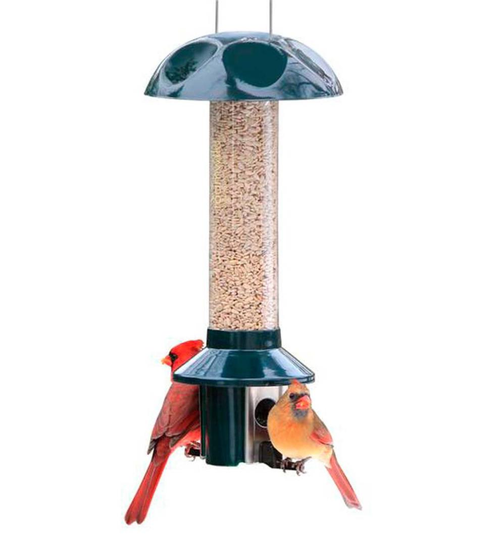 Plow & Hearth Bird Feeders Yard & Garden Pestoff Sunflower Mixed Seed Pest Proof Bird Feeder