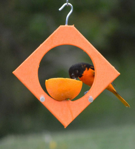 Plow & Hearth Bird Feeders Yard & Garden Recycled Plastic Oriole Diamond Fruit Feeder