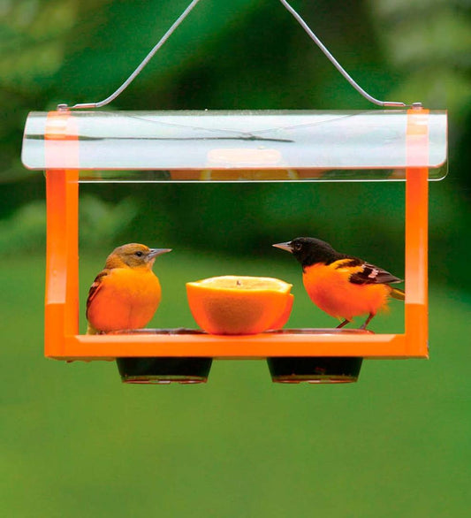 Plow & Hearth Bird Feeders Yard & Garden Recycled Plastic Poly-Lumber Oriole Bird Feeder