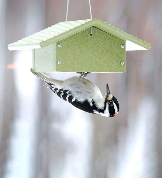 Plow & Hearth Bird Feeders Yard & Garden Recycled Plastic Poly-Lumber Upside-Down Suet Feeder