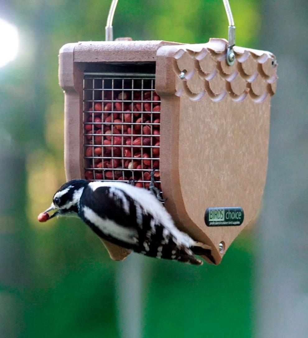 Plow & Hearth Bird Feeders Yard & Garden Recycled Poly-Lumber Acorn-Shaped Peanut Bird Feeder - Brown