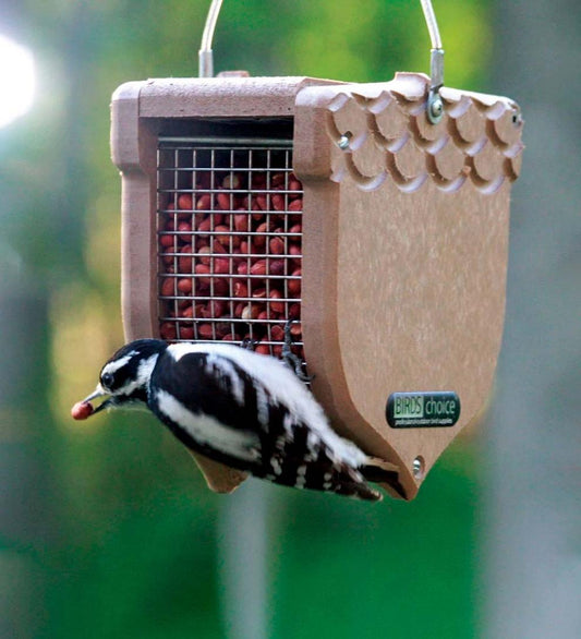 Plow & Hearth Bird Feeders Yard & Garden Recycled Poly-Lumber Acorn-Shaped Peanut Bird Feeder - Brown