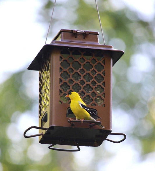 Plow & Hearth Bird Feeders Yard & Garden Squirrel-Resistant Metal Hopper Bird Feeder