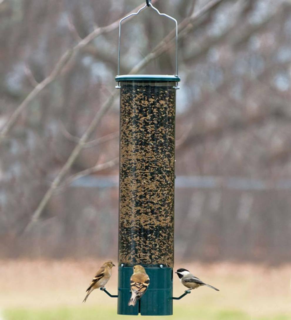 Plow & Hearth Bird Feeders Yard & Garden The Magnet Squirrel-Proof Feeder