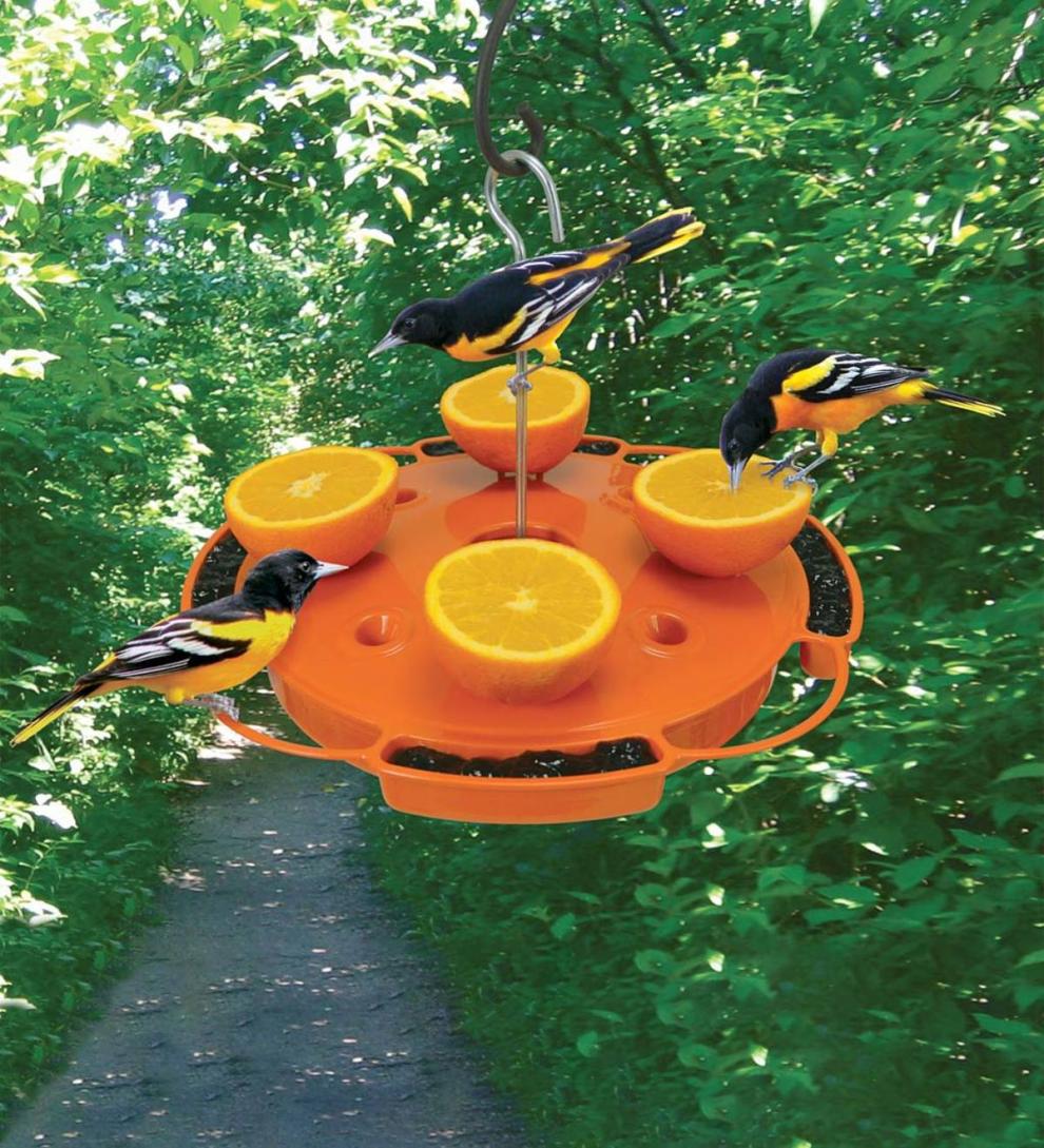 Plow & Hearth Bird Feeders Yard & Garden Ultimate Oriole Fruit, Jelly And Nectar Bird Feeder