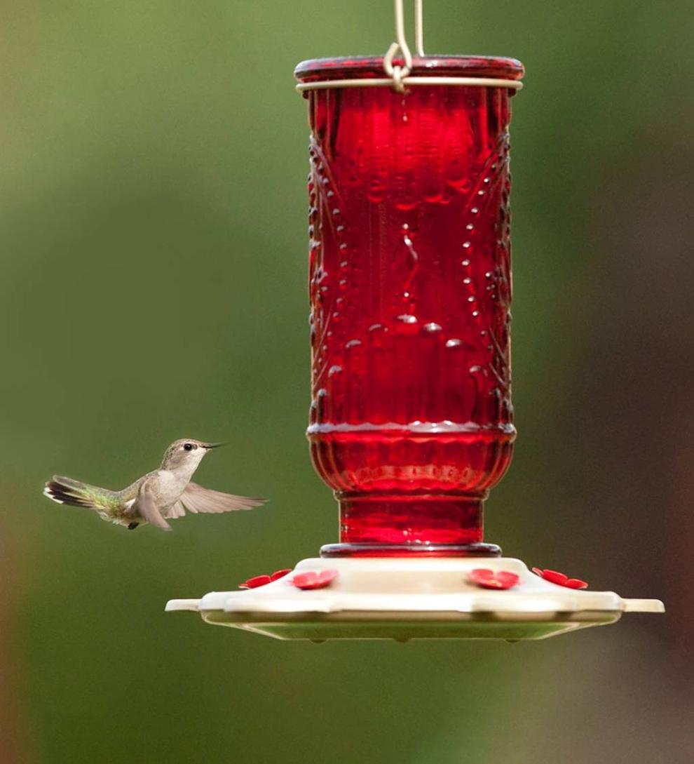 Plow & Hearth Bird Feeders Yard & Garden Vintage Glass And Metal 20-Ounce Hummingbird Feeder - Green