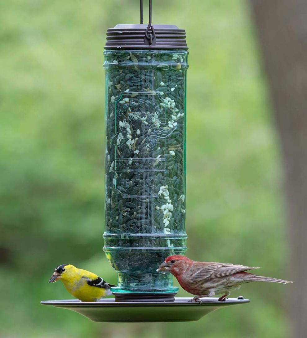 Plow & Hearth Bird Feeders Yard & Garden Vintage-Style Glass And Metal Hanging Songbird Feeder