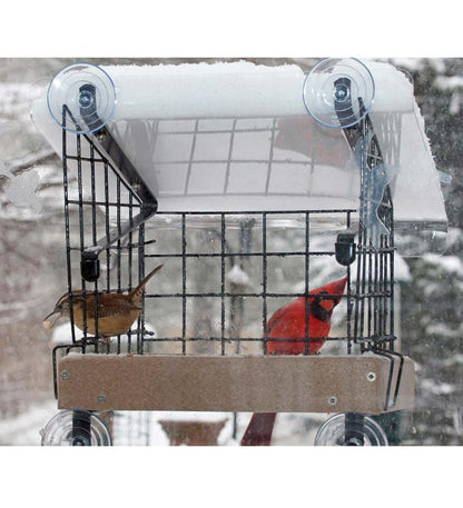 Plow & Hearth Bird Feeders Yard & Garden Window-Mount Platform Bird Feeder Kit