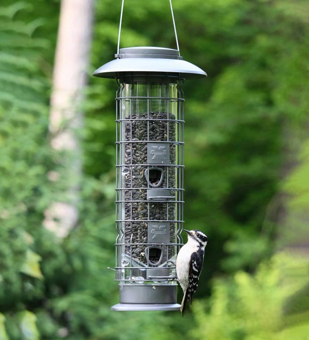 Plow & Hearth Bird Feeders Yard & Garden X4 Squirrel-Resistant Tube Bird Feeder