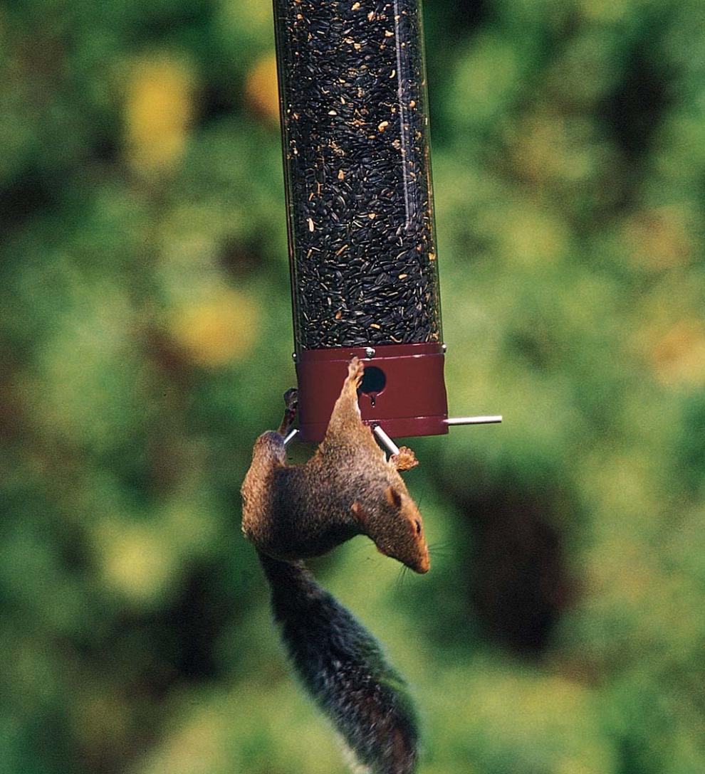 Plow & Hearth Bird Feeders Yard & Garden Yankee Dipper